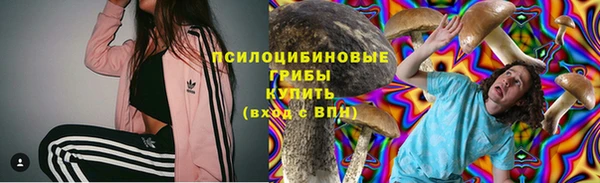 PSILOCYBIN Покров