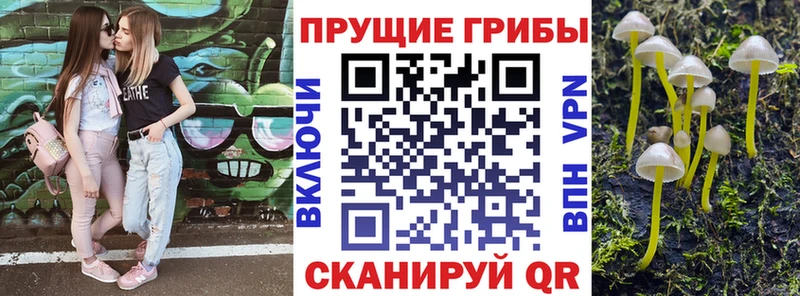 Псилоцибиновые грибы Cubensis  KRAKEN ССЫЛКА  Армянск 
